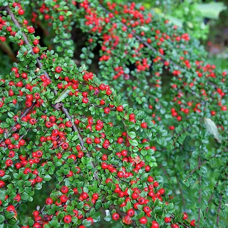 Cozy In Kerpen With Garden Lägenhet Üxheim